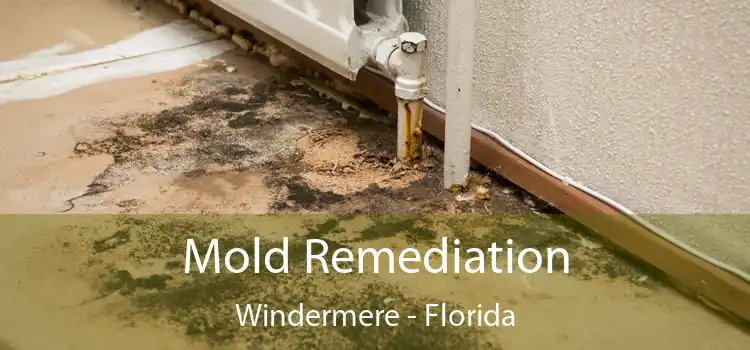 Mold Remediation Windermere - Florida