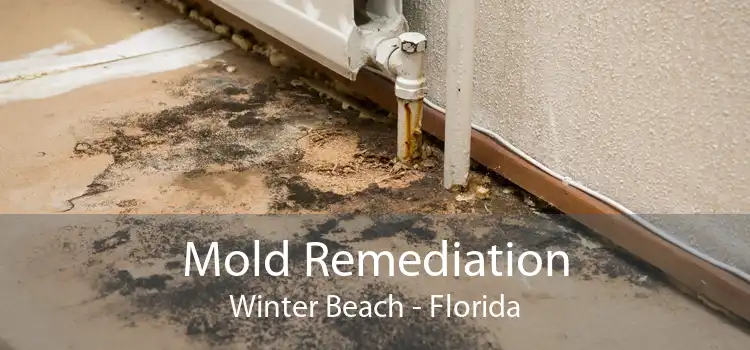 Mold Remediation Winter Beach - Florida