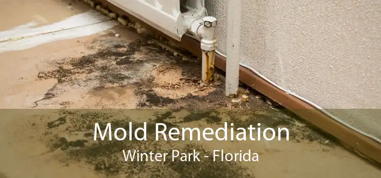 Mold Remediation Winter Park - Florida