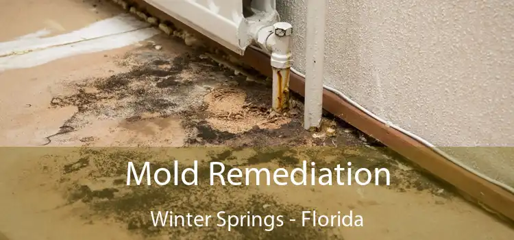 Mold Remediation Winter Springs - Florida