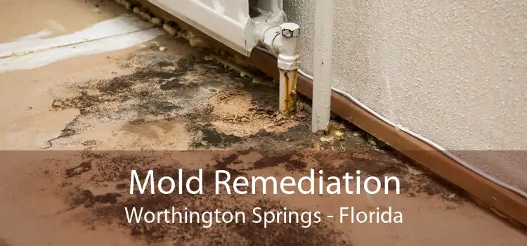 Mold Remediation Worthington Springs - Florida