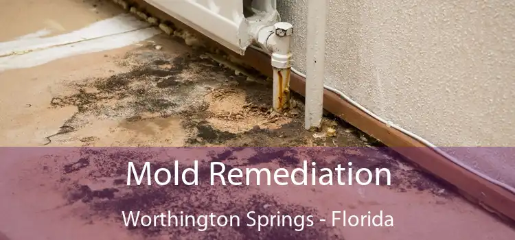 Mold Remediation Worthington Springs - Florida