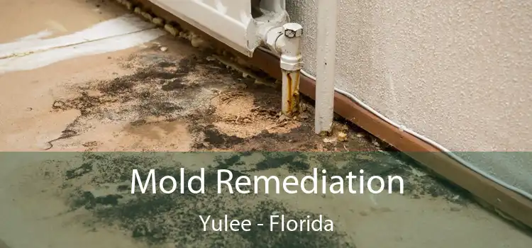 Mold Remediation Yulee - Florida