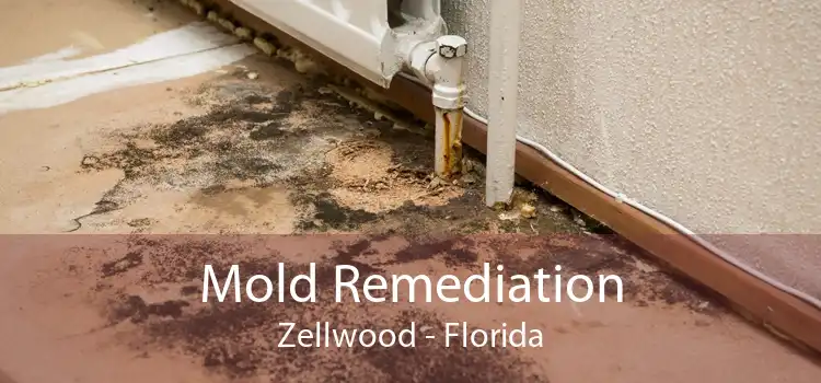 Mold Remediation Zellwood - Florida