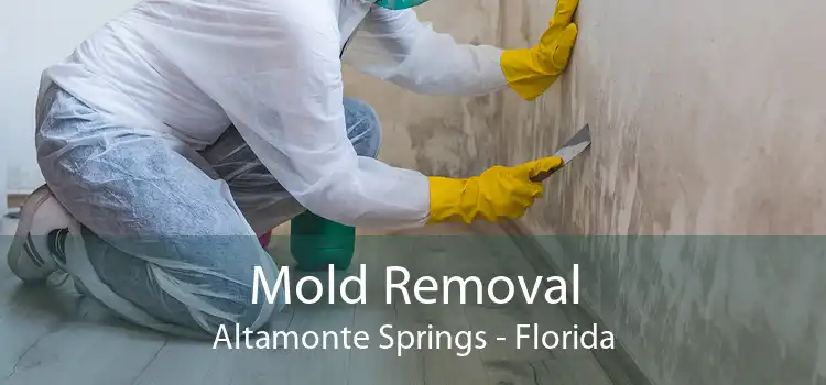 Mold Removal Altamonte Springs - Florida