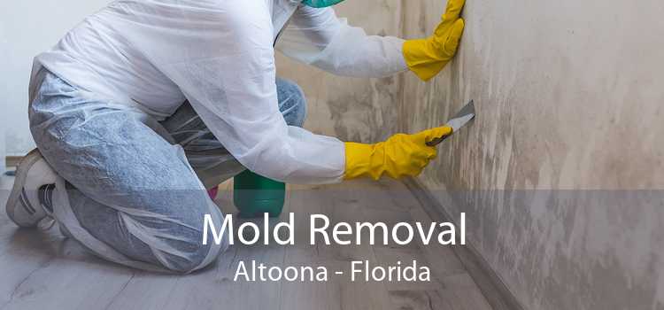 Mold Removal Altoona - Florida
