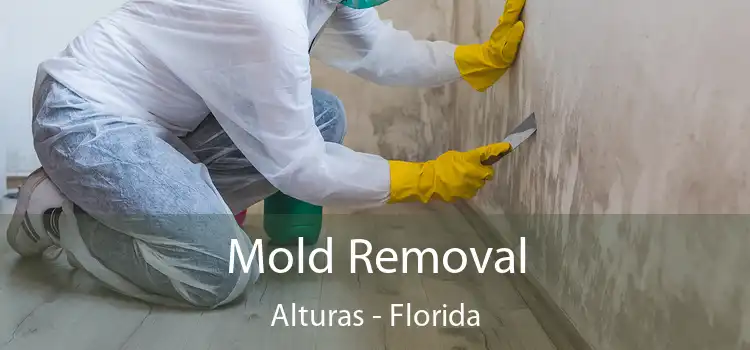 Mold Removal Alturas - Florida