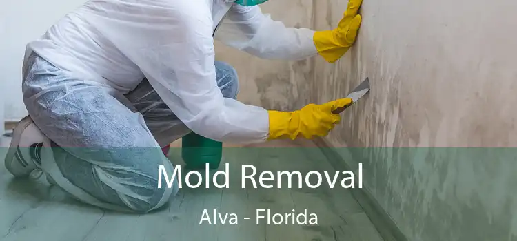 Mold Removal Alva - Florida