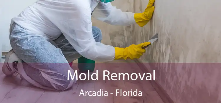 Mold Removal Arcadia - Florida