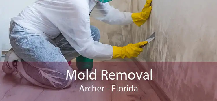 Mold Removal Archer - Florida