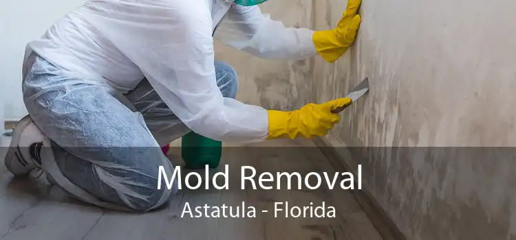 Mold Removal Astatula - Florida