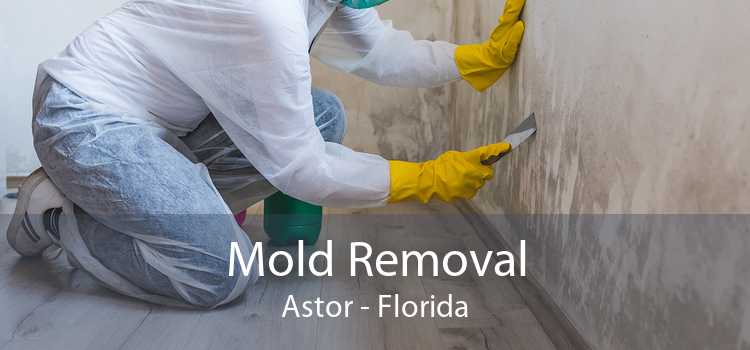 Mold Removal Astor - Florida