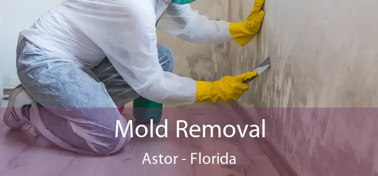 Mold Removal Astor - Florida