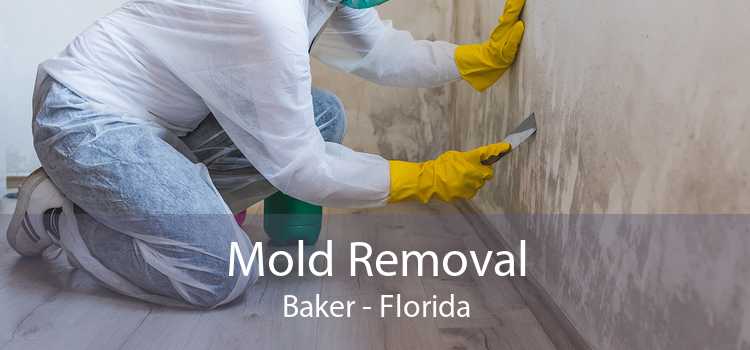 Mold Removal Baker - Florida