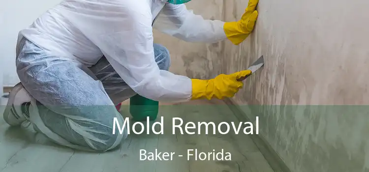 Mold Removal Baker - Florida