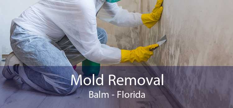 Mold Removal Balm - Florida