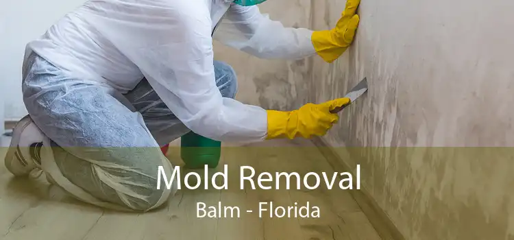 Mold Removal Balm - Florida