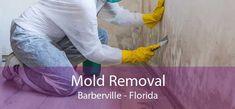 Mold Removal Barberville - Florida