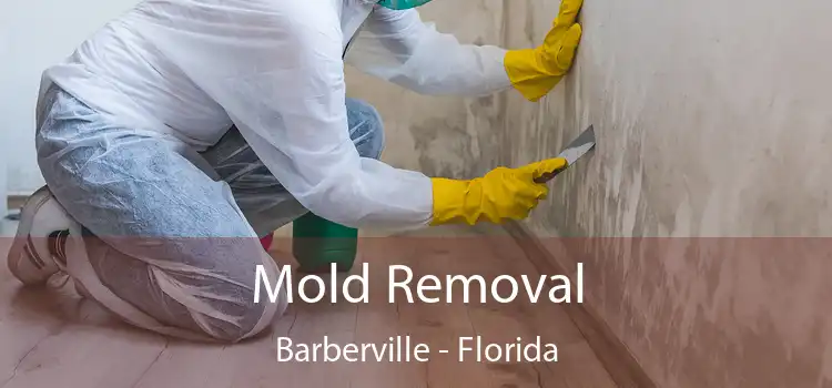 Mold Removal Barberville - Florida