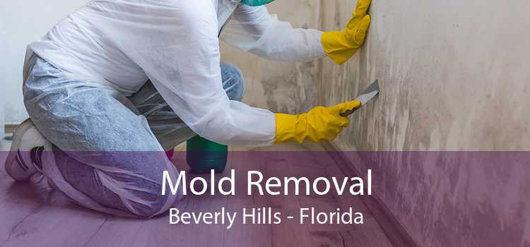 Mold Removal Beverly Hills - Florida