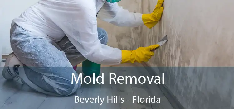 Mold Removal Beverly Hills - Florida