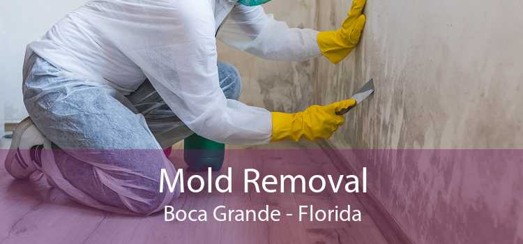 Mold Removal Boca Grande - Florida