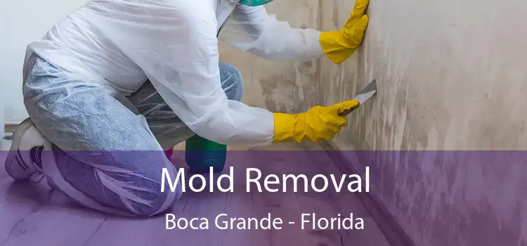 Mold Removal Boca Grande - Florida