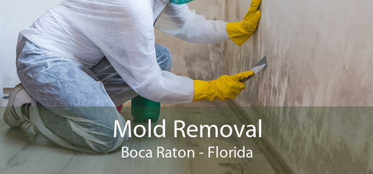 Mold Removal Boca Raton - Florida