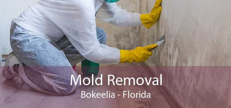 Mold Removal Bokeelia - Florida