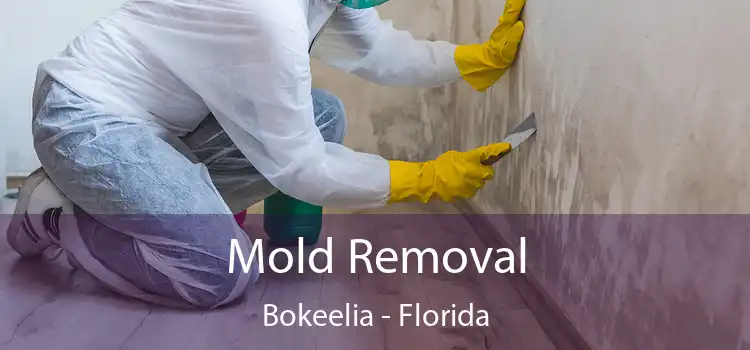 Mold Removal Bokeelia - Florida