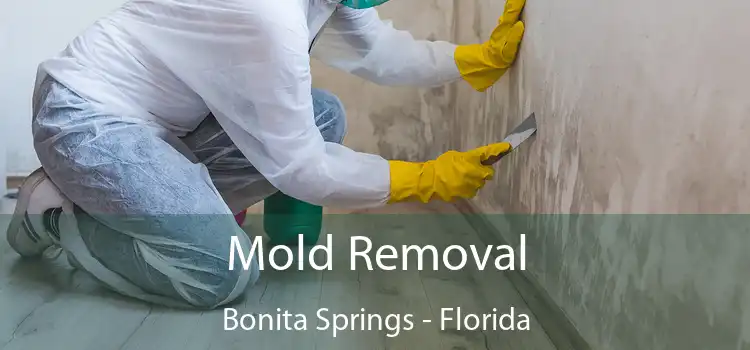 Mold Removal Bonita Springs - Florida