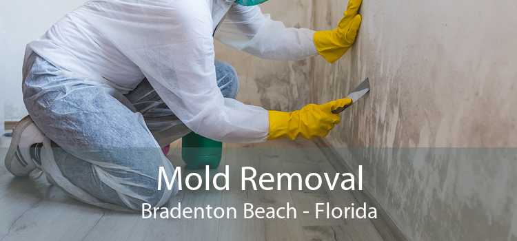 Mold Removal Bradenton Beach - Florida