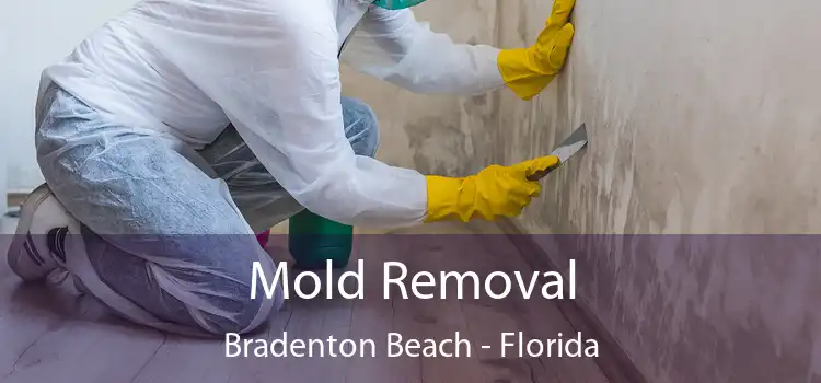 Mold Removal Bradenton Beach - Florida