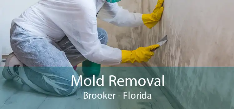 Mold Removal Brooker - Florida