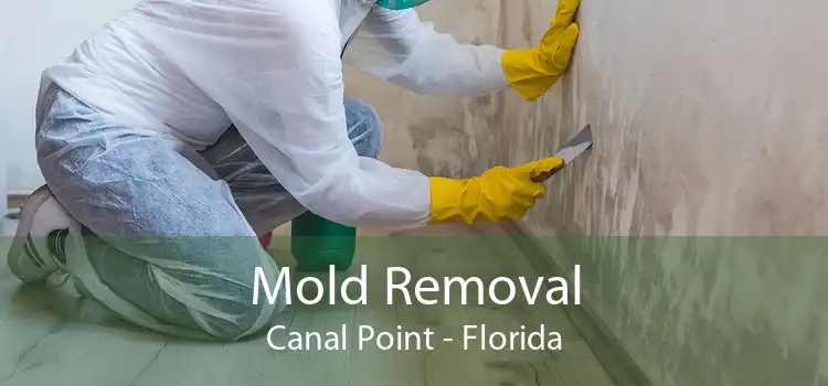 Mold Removal Canal Point - Florida