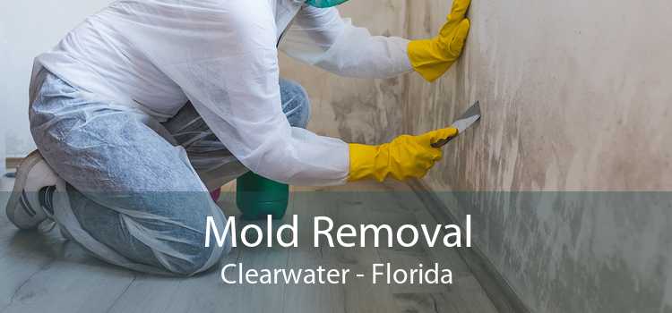 Mold Removal Clearwater - Florida