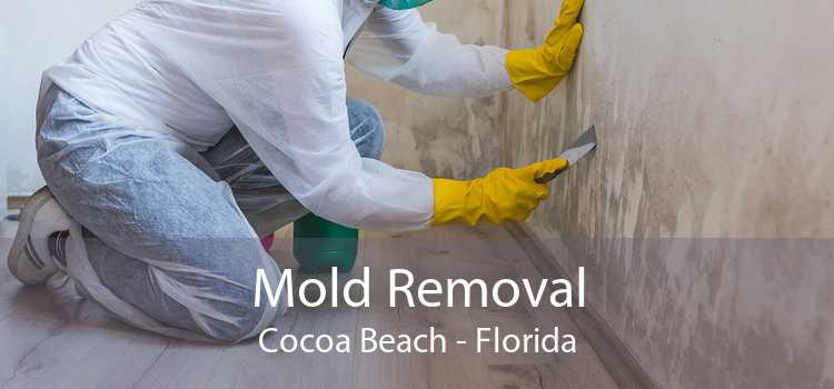 Mold Removal Cocoa Beach - Florida