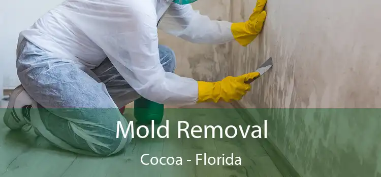 Mold Removal Cocoa - Florida