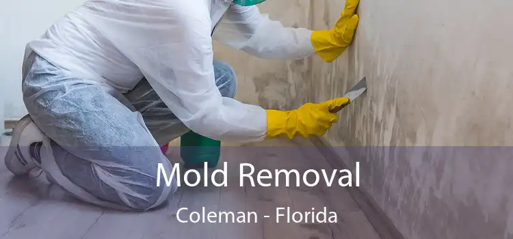 Mold Removal Coleman - Florida