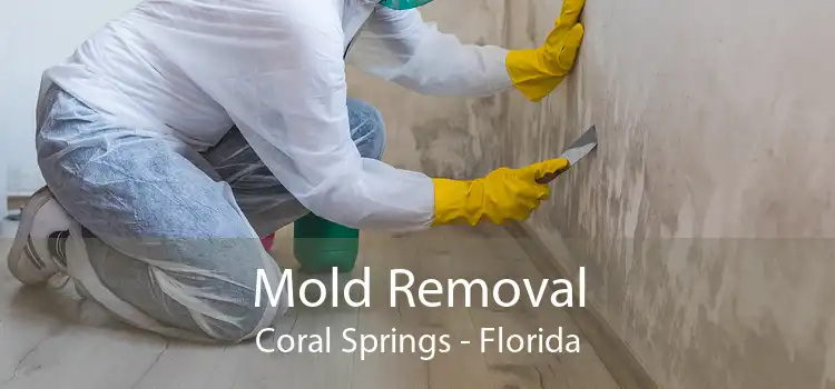 Mold Removal Coral Springs - Florida