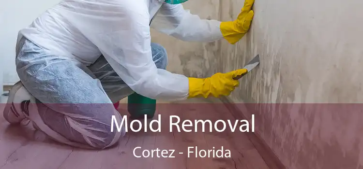 Mold Removal Cortez - Florida