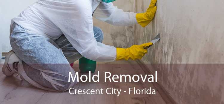 Mold Removal Crescent City - Florida