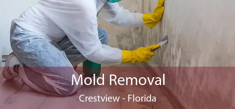 Mold Removal Crestview - Florida