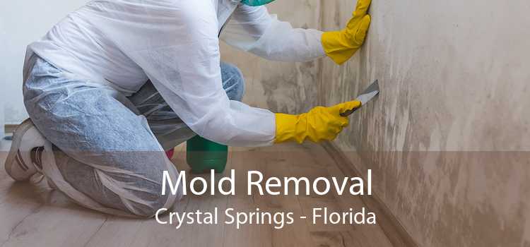 Mold Removal Crystal Springs - Florida