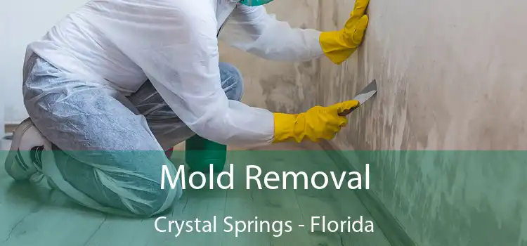 Mold Removal Crystal Springs - Florida