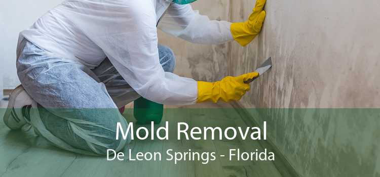 Mold Removal De Leon Springs - Florida