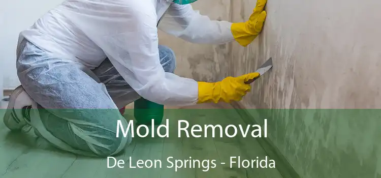 Mold Removal De Leon Springs - Florida