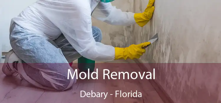 Mold Removal Debary - Florida