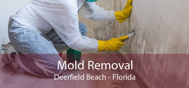 Mold Removal Deerfield Beach - Florida