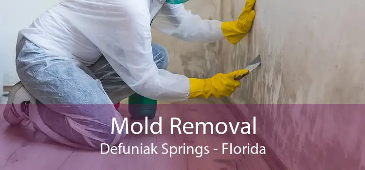 Mold Removal Defuniak Springs - Florida